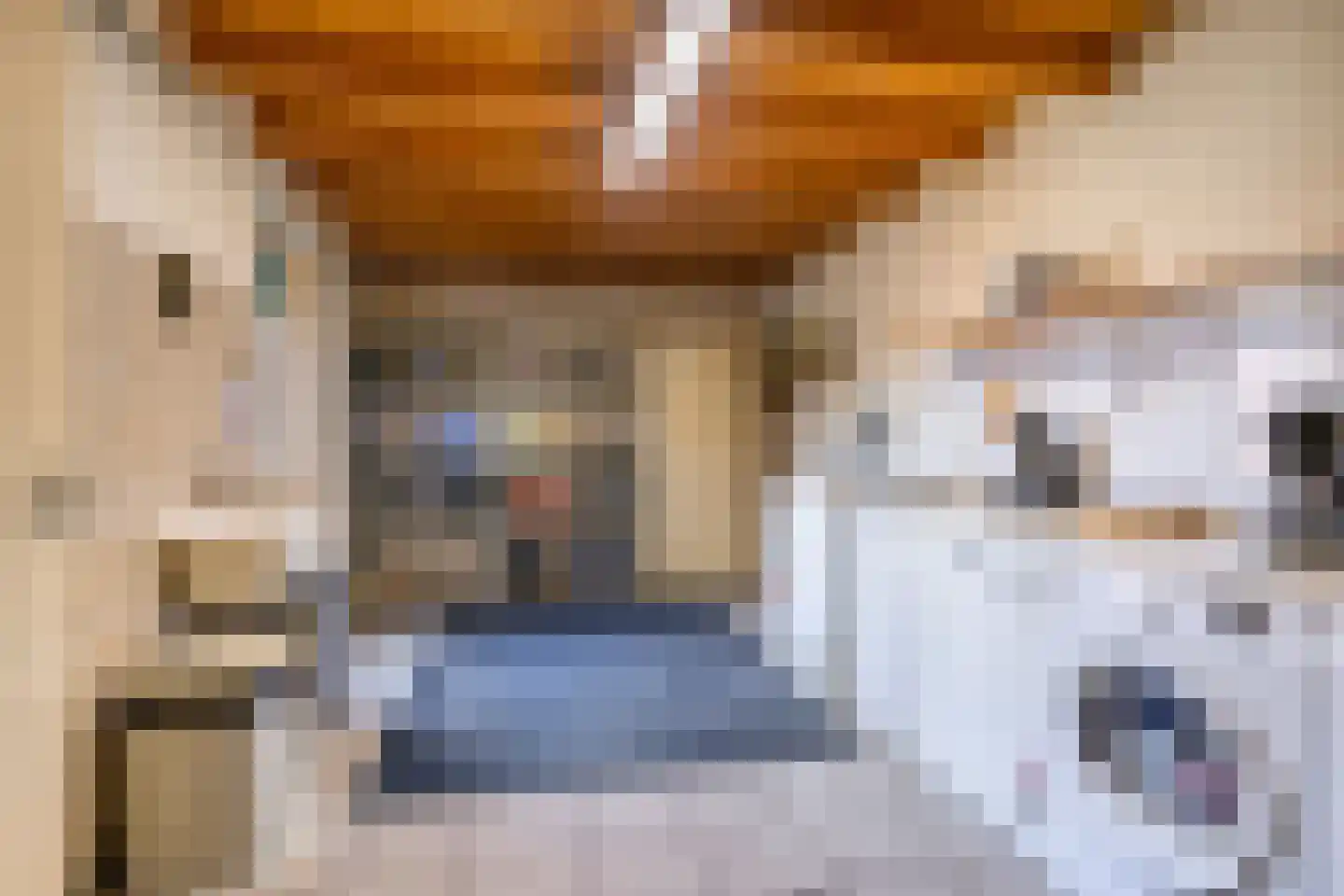 Hakselaar 15 Denekamp thumbnail 17