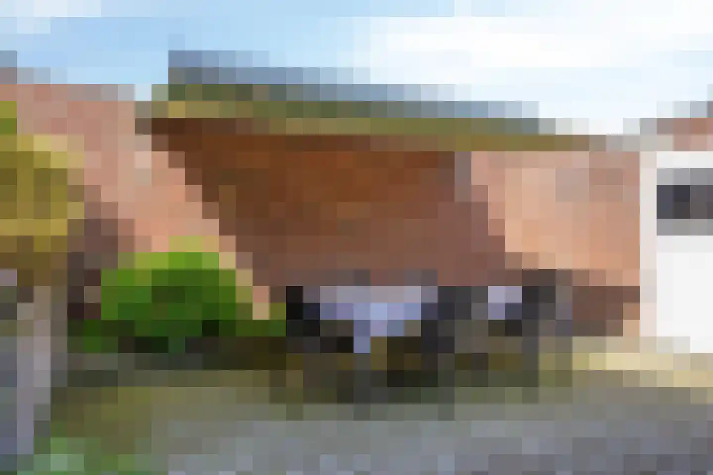 Hakselaar 15 Denekamp thumbnail 30
