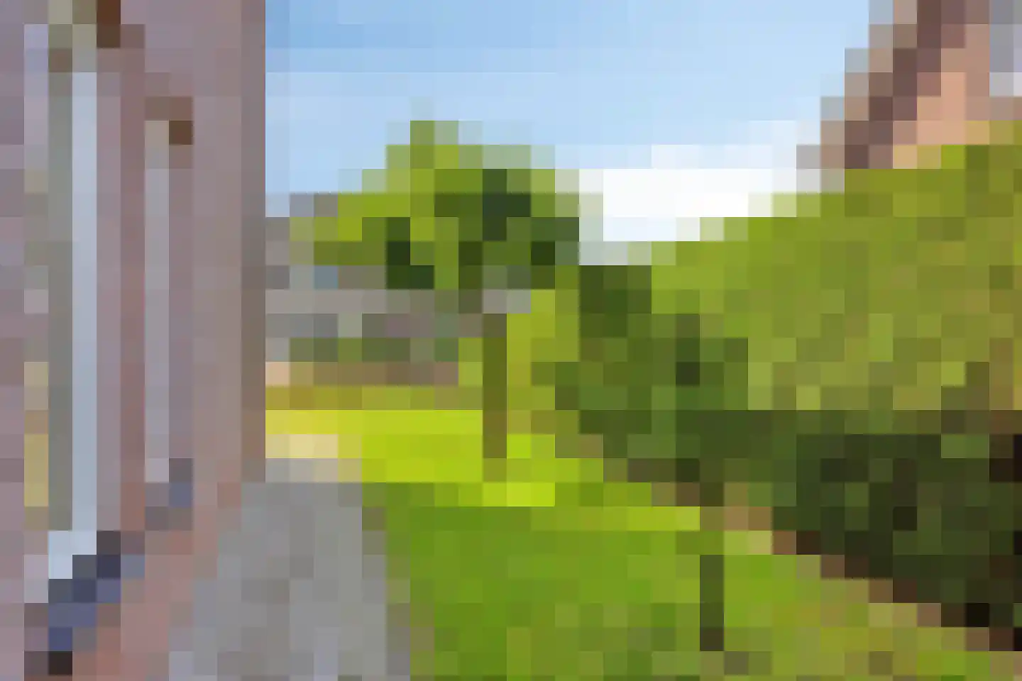 Hakselaar 15 Denekamp thumbnail 33