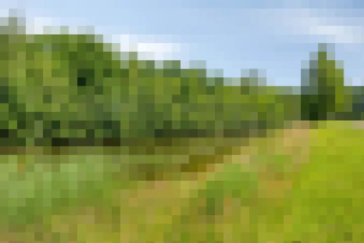 Hakselaar 15 Denekamp thumbnail 39