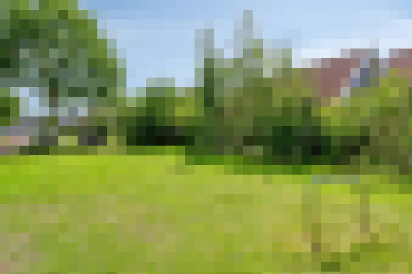 Hakselaar 15 Denekamp thumbnail 40