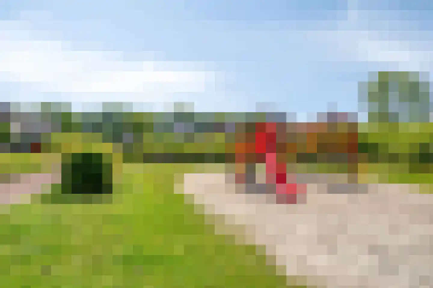 Hakselaar 15 Denekamp thumbnail 41