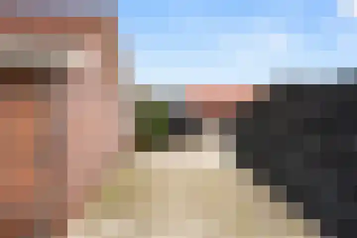Hakselseweg 61 Ede thumbnail 40