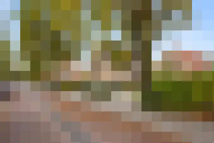 Hakselseweg 61 Ede thumbnail 47