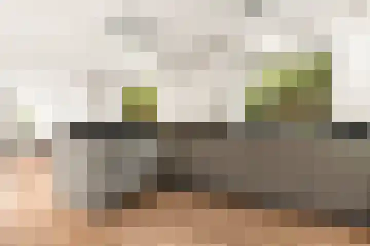 Hakselseweg 61 Ede thumbnail 9