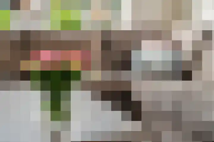 Hakselseweg 76 Ede thumbnail 7