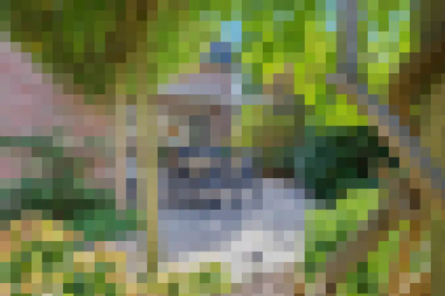Hakselseweg 99 Ede thumbnail 4