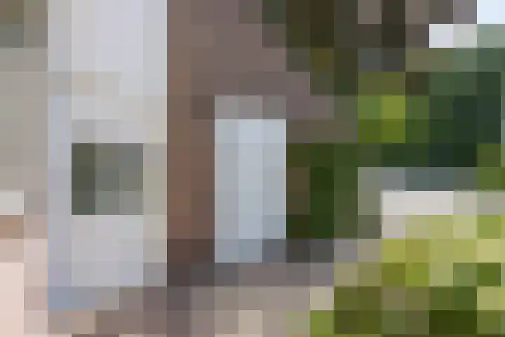 Haktol 20 Best thumbnail 5