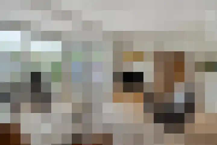 Haktol 28 Best thumbnail 10