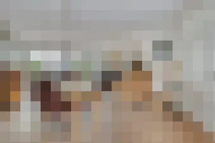 Haktol 28 Best thumbnail 15