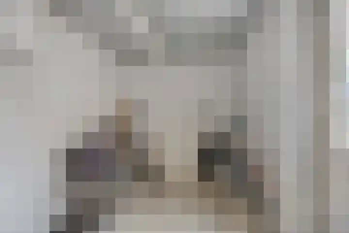 Haktol 28 Best thumbnail 18