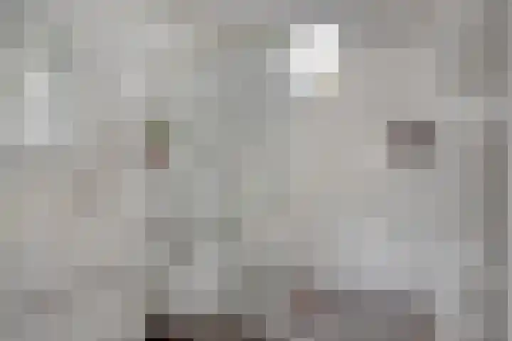 Haktol 28 Best thumbnail 22