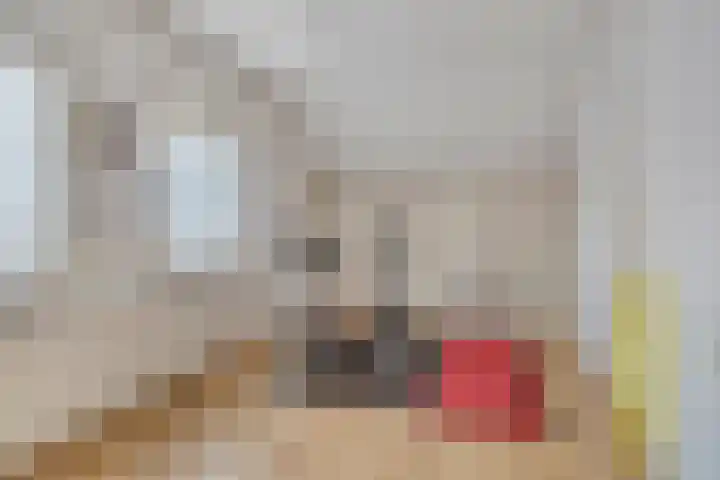 Haktol 28 Best thumbnail 27