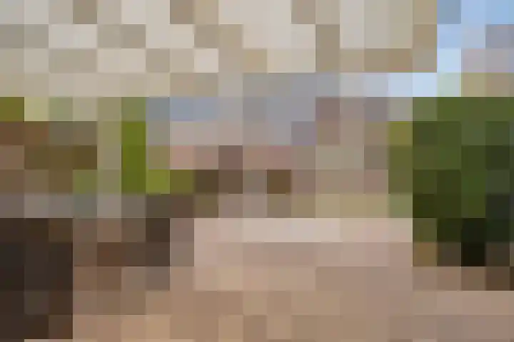 Haktol 28 Best thumbnail 32