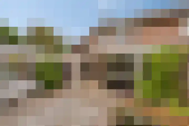 Haktol 28 Best thumbnail 33