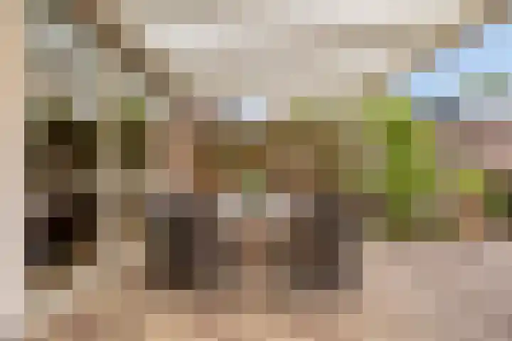Haktol 28 Best thumbnail 35