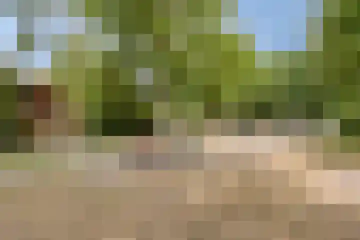 Haktol 28 Best thumbnail 38