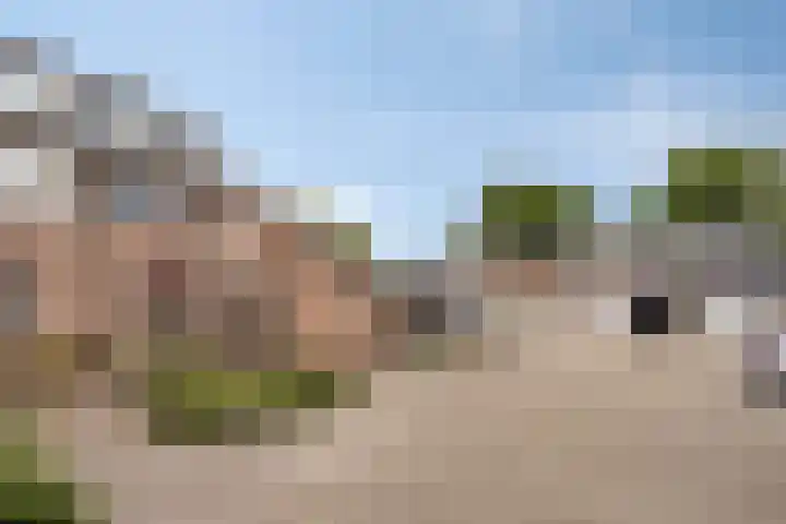 Haktol 28 Best thumbnail 40
