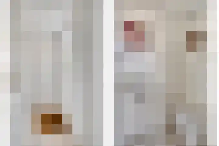Haktol 28 Best thumbnail 6