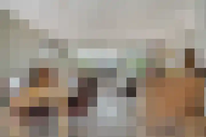 Haktol 28 Best thumbnail 8