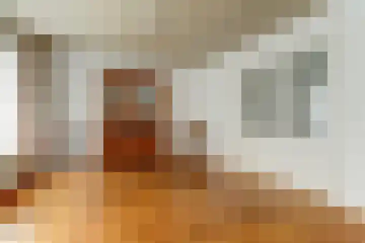 Hakvoortseweg 9 Biest-Houtakker thumbnail 10