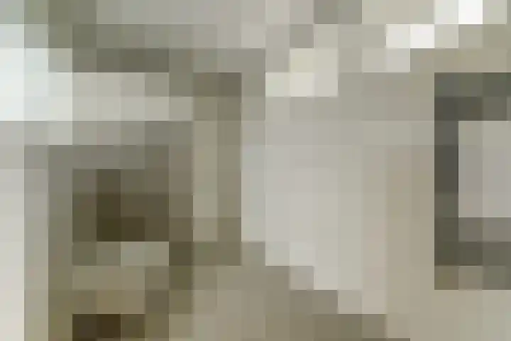 Hakvoortseweg 9 Biest-Houtakker thumbnail 13