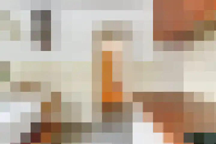 Hakvoortseweg 9 Biest-Houtakker thumbnail 15