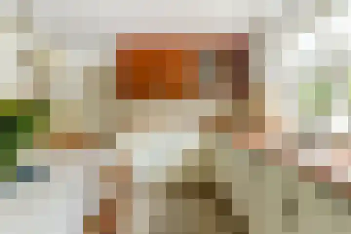 Hakvoortseweg 9 Biest-Houtakker thumbnail 17