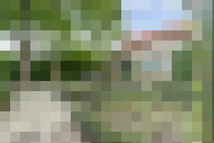 Hakvoortseweg 9 Biest-Houtakker thumbnail 28