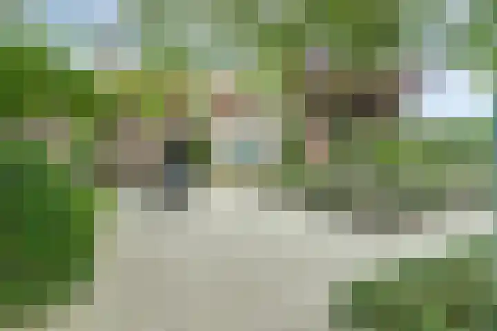 Hakvoortseweg 9 Biest-Houtakker thumbnail 29