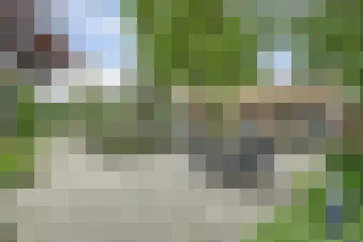 Hakvoortseweg 9 Biest-Houtakker thumbnail 30