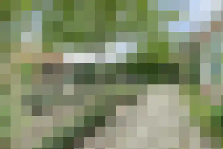 Hakvoortseweg 9 Biest-Houtakker thumbnail 31
