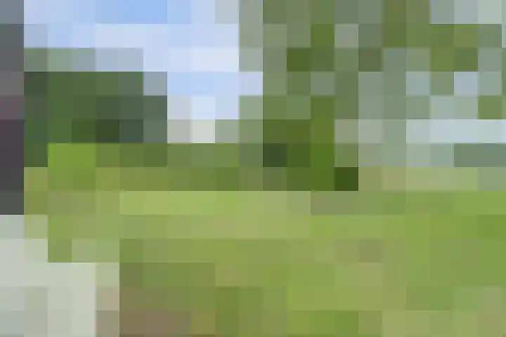 Hakvoortseweg 9 Biest-Houtakker thumbnail 33