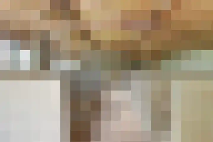Hakvoortseweg 9 Biest-Houtakker thumbnail 35