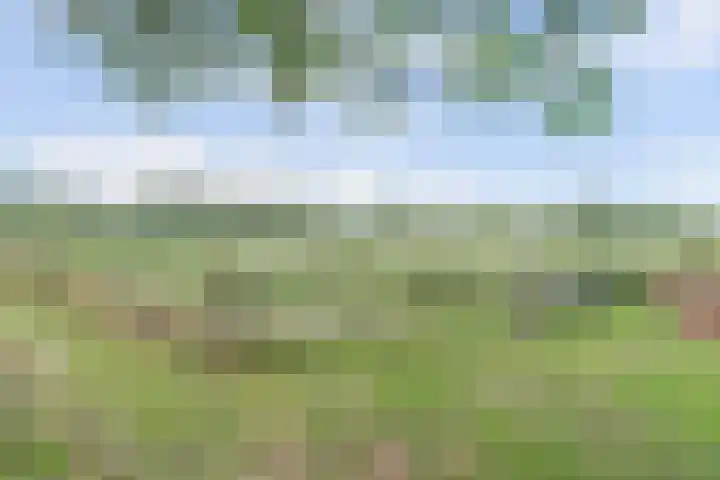 Hakvoortseweg 9 Biest-Houtakker thumbnail 36