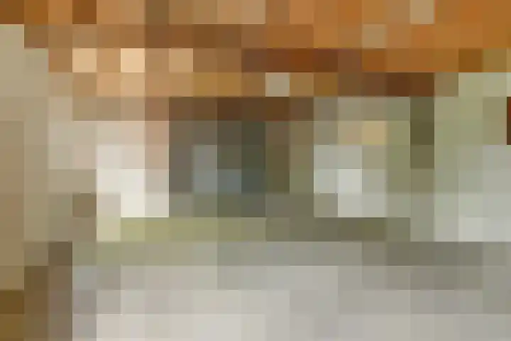 Hakvoortseweg 9 Biest-Houtakker thumbnail 38