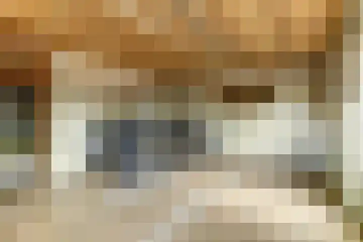 Hakvoortseweg 9 Biest-Houtakker thumbnail 39