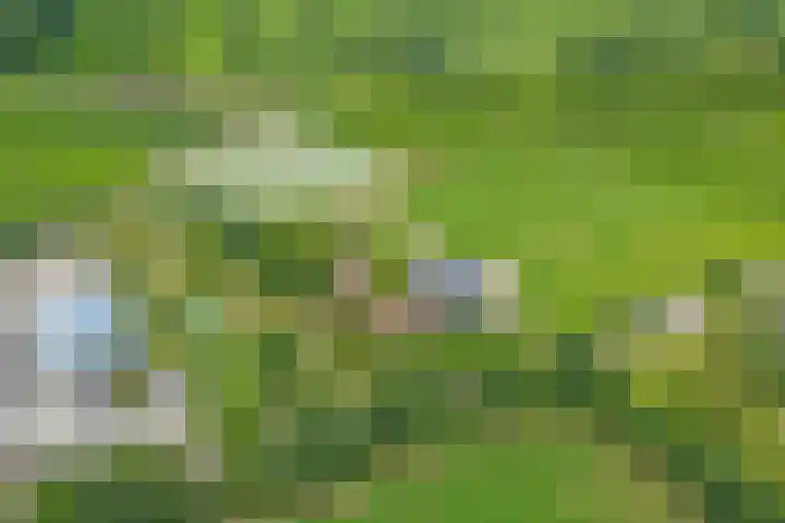 Hakvoortseweg 9 Biest-Houtakker thumbnail 40