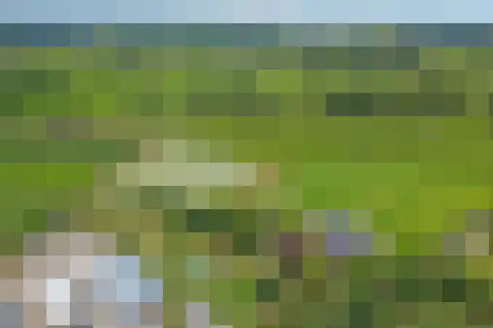 Hakvoortseweg 9 Biest-Houtakker thumbnail 41
