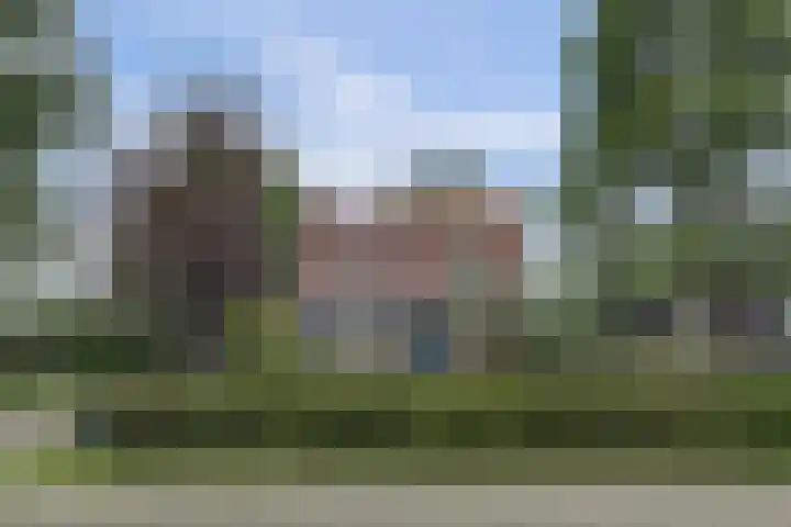 Hakvoortseweg 9 Biest-Houtakker thumbnail 43