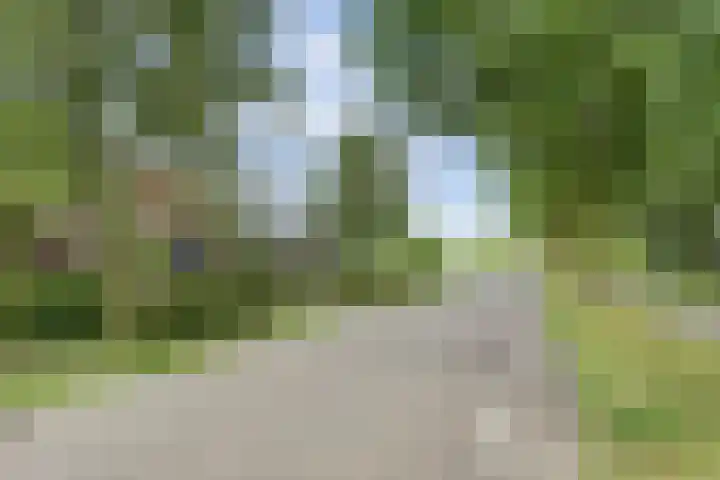 Hakvoortseweg 9 Biest-Houtakker thumbnail 44