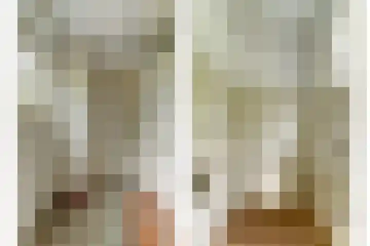 Hakvoortseweg 9 Biest-Houtakker thumbnail 7