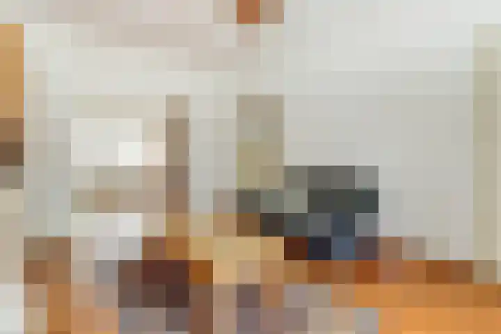 Hakvoortseweg 9 Biest-Houtakker thumbnail 9