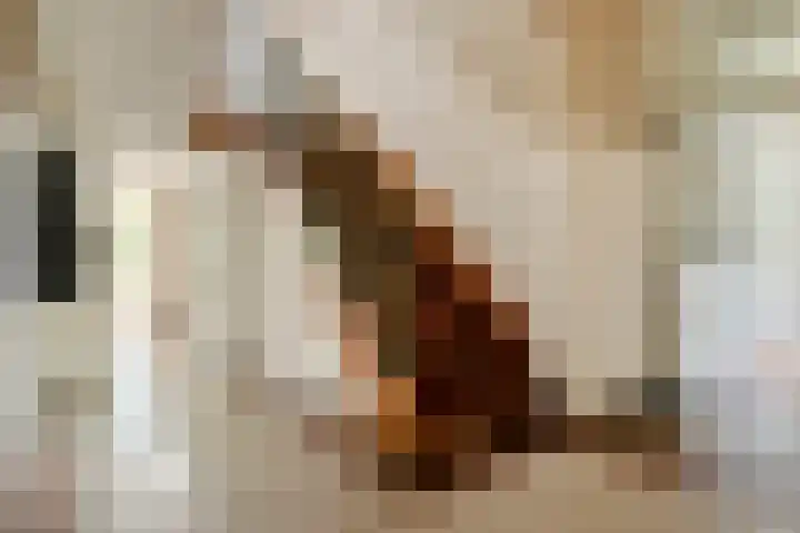 Hal 29 Esch thumbnail 13