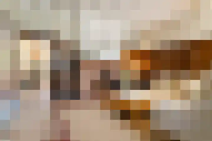 Hal 29 Esch thumbnail 17