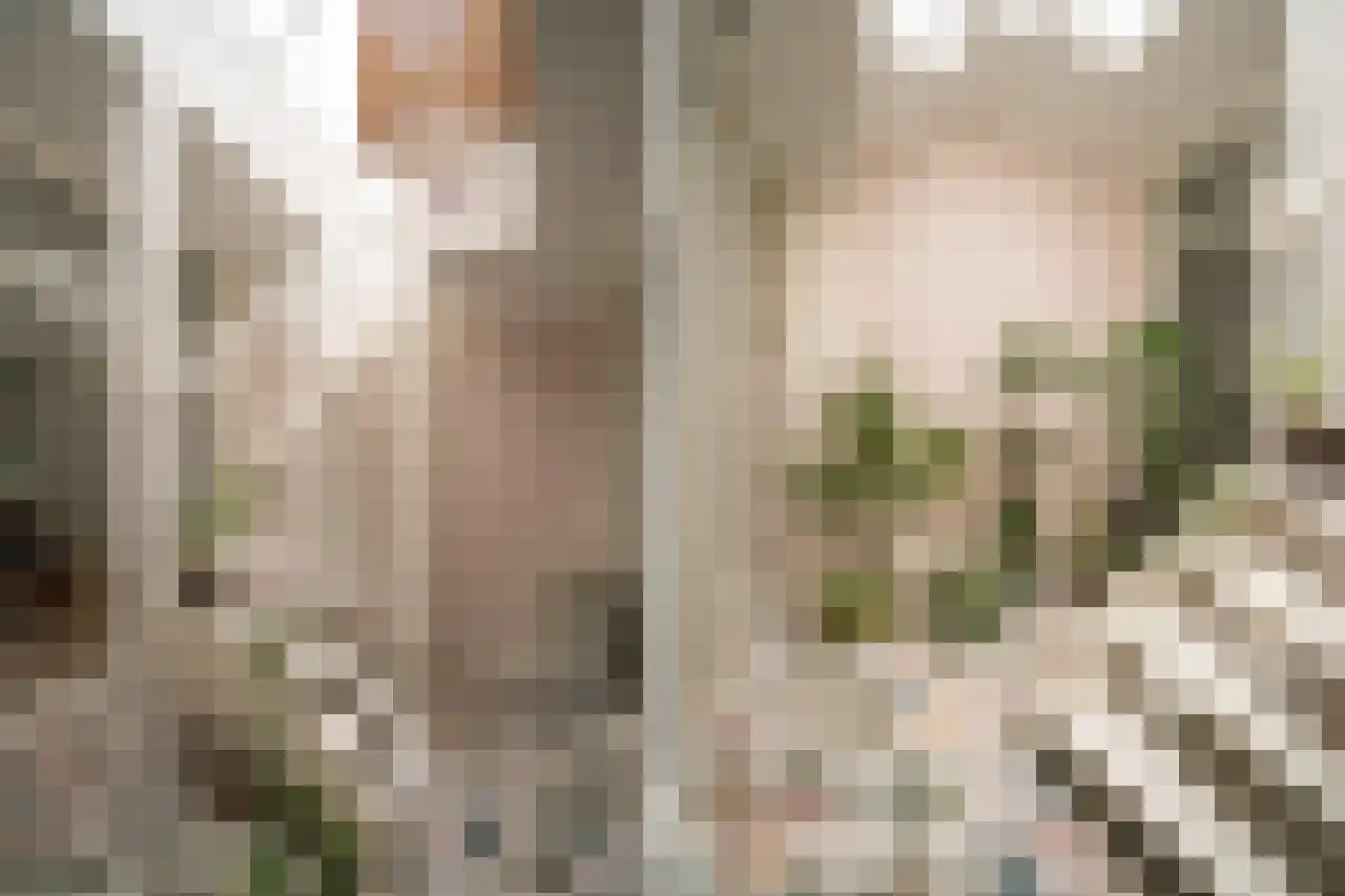 Hal 29 Esch thumbnail 18