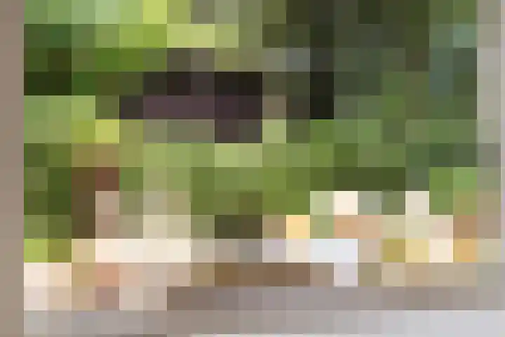 Hal 29 Esch thumbnail 23