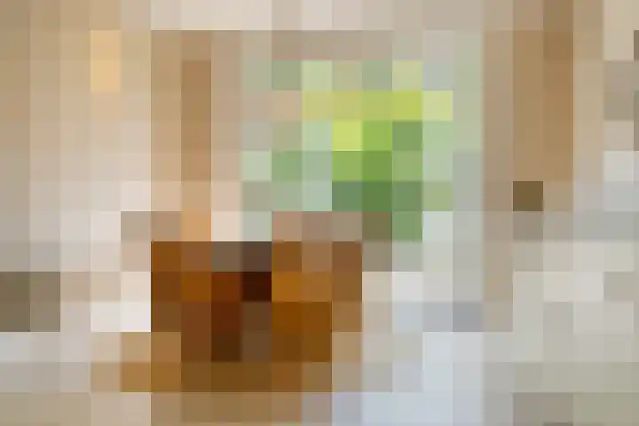 Hal 29 Esch thumbnail 28