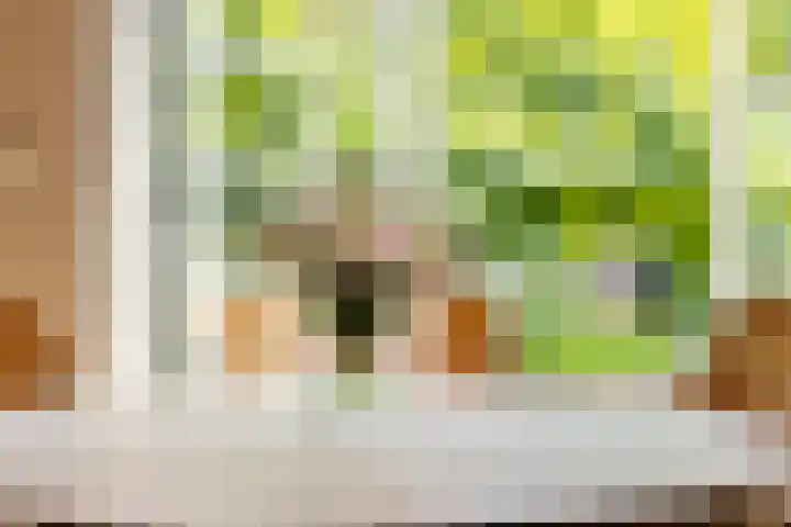 Hal 29 Esch thumbnail 29