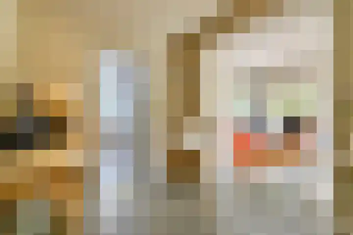 Hal 29 Esch thumbnail 33